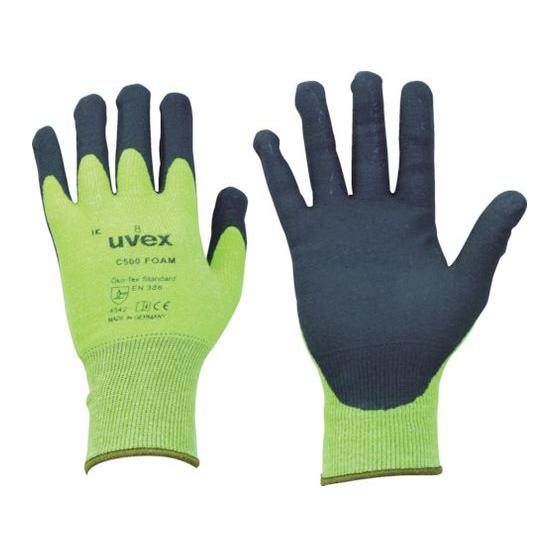【お取り寄せ】UVEX C500 フォーム L 6049469