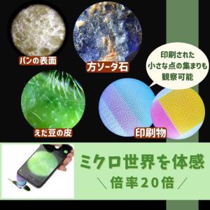 レイメイ藤井 ハンディ 顕微鏡 petit バ...の詳細画像3