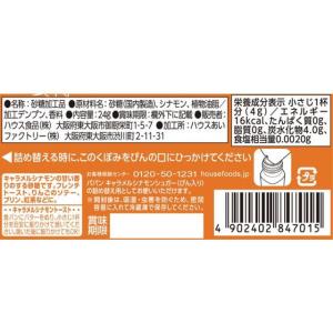 ハウス パパン キャラメルシナモンシュガー 詰...の詳細画像1