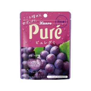 Kanro（カンロ） ピュレグミ グレープ 56g グミ 飴 タブレット お菓子