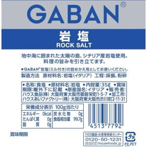 ハウス GABAN 岩塩 詰め替え用 35gの詳細画像1