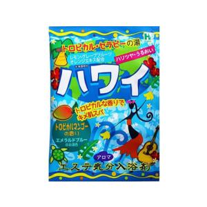 【お取り寄せ】ヘルス エステ気分 アロマ ハワイの商品画像