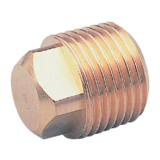 【お取り寄せ】ASOH 四角プラグ PT3／8 NP-1003