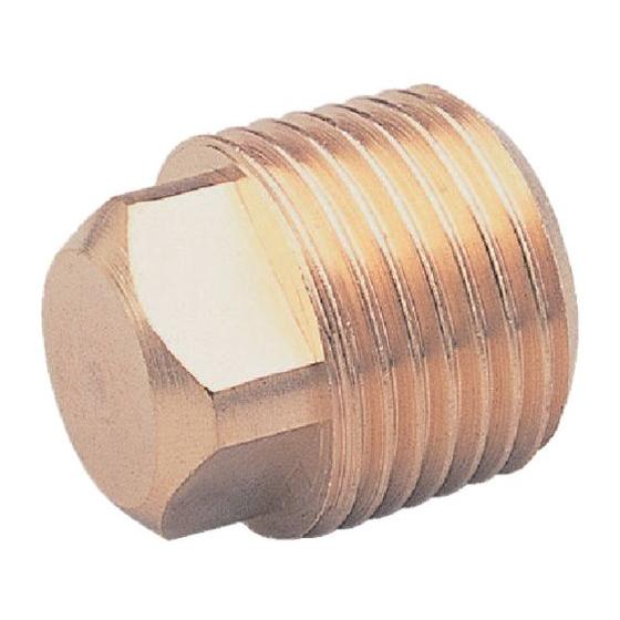 【お取り寄せ】ASOH 四角プラグ PT1／2 NP-1004