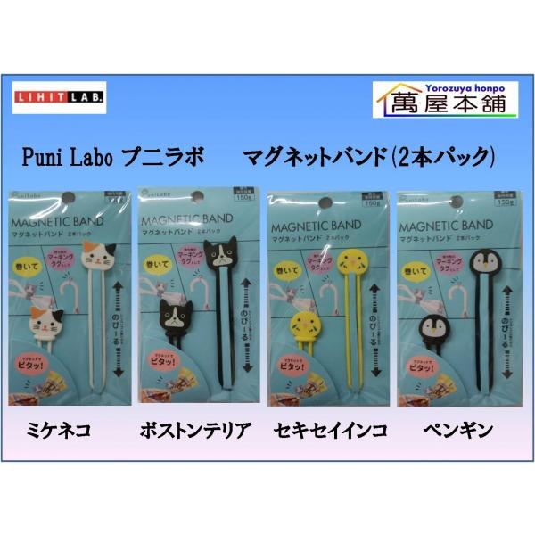 LIHIT LAB　Puni Labo プ二ラボ マグネットバンド　2本パック　A-7722&lt;希望小...