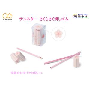 非売品⭐︎セーラースターズ文房具セット　懸賞品　レア ◇SAILOR セーラー万年筆 長原宣義作 煤竹 すす竹万年筆 純金プレート