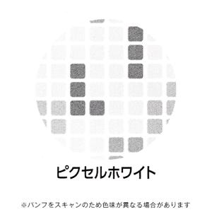 ☆パイロット限定シャープペンシルOPT.オプト...の詳細画像1