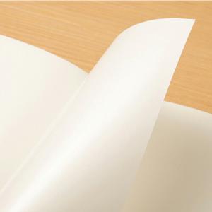 デザインフィル トラベラーズノート レギュラー...の詳細画像4