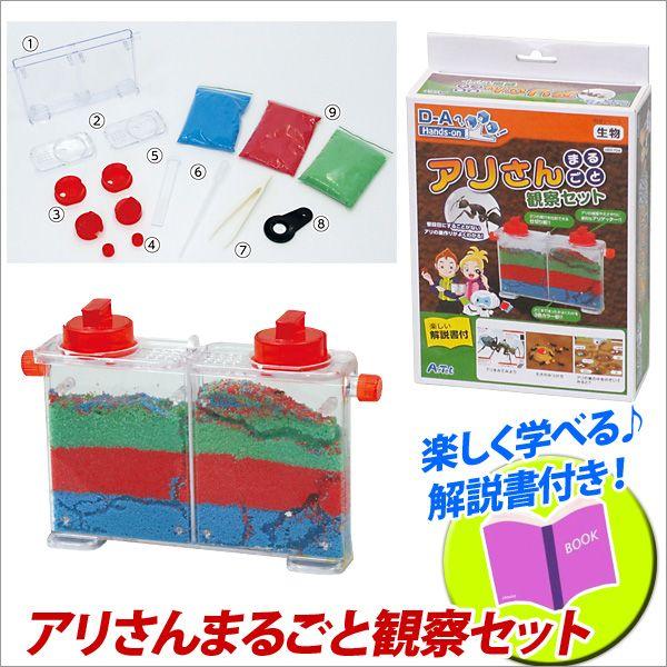 お取寄 夏休み 工作キット 小学生 手作り キット 自由研究 アリさんまるごと観察セット メール便不...