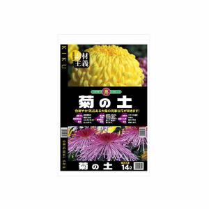 クリスマスリース 早割 手作り本物 玄関 オレゴン産 生モミ フレッシュ
