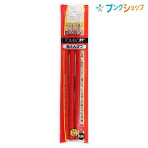 鉛筆セット トンボ鉛筆 色鉛筆 赤青鉛筆8900V2Pキャップ付 朱2朱藍1 鉛筆画 製図用
