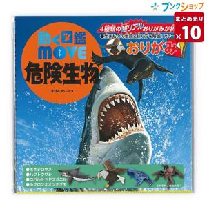 1 本の巨大な美しいメガロドン歯化石サメの歯 : FUKU Store - 通販
