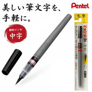 PILOT（パイロット） 筆ペン 新毛筆 中字 SN-50FDM-B : 赤塚ビジネス