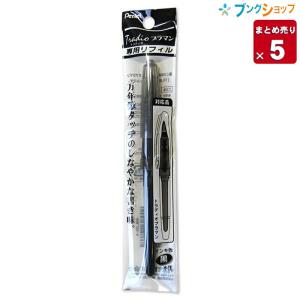 ぺんてる トラディオ プラマン TRJ50A プラスチック万年筆 筆記 ぺんてる トラディオ プラマン TRJ50A プラスチック万年筆 筆記