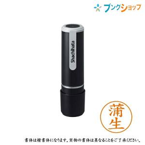 シヤチハタ（Shachihata） シャチハタ ネーム9 シャチハタ 印鑑 既製品