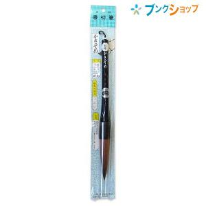 呉竹 ぼくちすずり 四五平 HC15-45S 書道用硯 軽量タイプ 両面タイプ