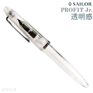 プラチナ万年筆 ＃3776 バランス 万年筆（14金ペン先） : ナガサワ文具