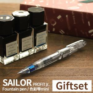 PILOT（パイロット） 万年筆 インク 色彩雫（いろしずく）3色セット