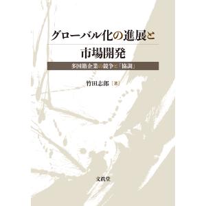 グローバル化の進展と市場開発―多国籍企業の競争と「協調」―