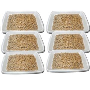 納豆 大粒 どうなん納豆 道産納豆 大粒 500gX6 業務用 北海道産 グルメ ご飯のお供 国産 お取り寄せ