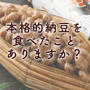 納豆 大粒 くま納豆 北海道わら 大粒 80g...の詳細画像1