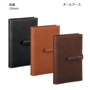 ダ・ヴィンチ 【送料無料(本州のみ)】レイメイ藤井 JDA4052C システム