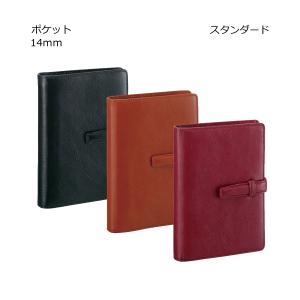 ダ・ヴィンチ 【名入れ可】レイメイ藤井 DSA1162 システム手帳