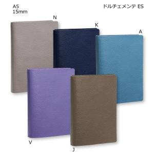 ダ・ヴィンチ 【限定品・送料無料(本州のみ)♪】レイメイ藤井