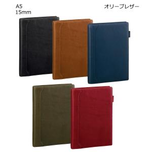 レイメイ藤井 raymay ダ・ヴィンチ システム手帳 オールアース スリム