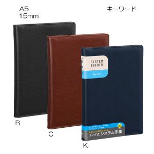 ダ・ヴィンチ 【送料無料(本州のみ)】レイメイ藤井 DSA4051C システム