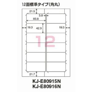 KOKUYO（コクヨ） LBP-F91N カラーLBP&PPC用 紙ラベル A4 10面 500枚
