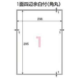 KOKUYO コクヨ KB-A192 PPC用紙ラベル(共用タイプ) A4 12面 100枚