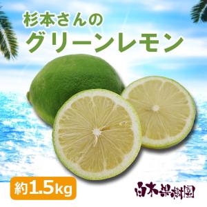 高知県黒潮町産グリーンレモン 約1.5kg