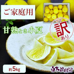 2025年産(令和7年) 【 もみ米 10kg 】風さやか 長野県産 保存米 もみ