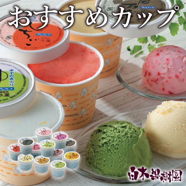 おすすめカップ12個セット  ギフト アイスクリーム バラエティーカップ  【送料込】【夏ギフト】【...