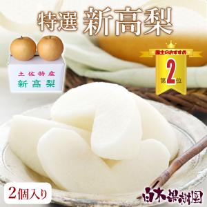 新高梨 特選秀品 特大2個入り産地直送 高知県産 ギフト 贈答 梨の王様 送料無料