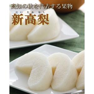 新高梨 特選秀品 特大2個入り産地直送 高知県...の詳細画像1
