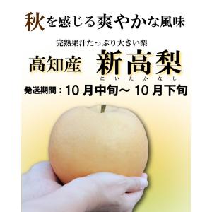新高梨 特選秀品 特大2個入り産地直送 高知県...の詳細画像2