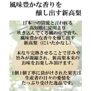 新高梨 特選秀品 特大2個入り産地直送 高知県...の詳細画像3