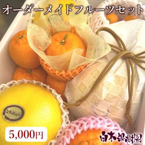 夏ギフト 沖縄県産ゴールドバレル パイナップル 【超大玉1玉 (2〜2.4kg