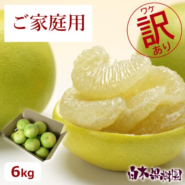 【送料込】水晶文旦 お得箱約6kg 家庭用 包装対象外 文旦 ぶんたん ブンタン 高知 みかん