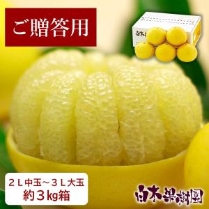 特選秀品土佐文旦約10kgL小玉〜2L中玉サイズ【送料込】 : 文旦屋・白木
