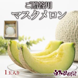アールスメロン 贈答用 メロン 高知県産 ネット系メロン ハウスメロン