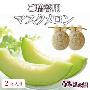 送料込】マスクメロン 訳ありB級品 1玉入り【高知県産】 : 文旦屋