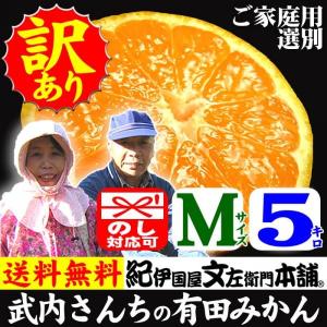 有田みかん 和歌山みかん 産地直送 武内さんちの有田みかん(Mサイズ)約5kg わけあり ご家庭用