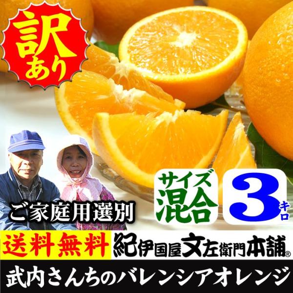 武内さんちのバレンシアオレンジ　ご家庭用　サイズ混合　3kg