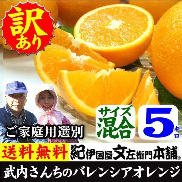 武内さんちの国産バレンシアオレンジ　ご家庭用　サイズ混合　5kg
