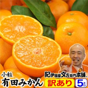 【年始出荷】みかん ミカン 小粒ちゃん 有田みかん５ｋｇ お買い得の小玉サイズ　訳あり ワケあり ワケアリ わけあり　和歌山県産 みかん 温州　ギフト対応不可