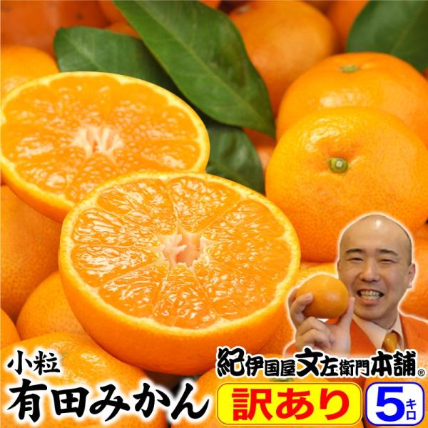 みかん ミカン 小粒ちゃん 有田みかん５ｋｇ お買い得の小玉サイズ　訳あり ワケあり ワケアリ わけ...