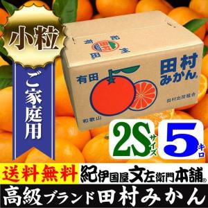 田村みかん お買得 小玉 2Sサイズ 5kg詰 [1箱＝約70〜80果] 和歌山みかん有田みかんの最高ブランド SS 小粒ちゃん(訳あり わけあり)